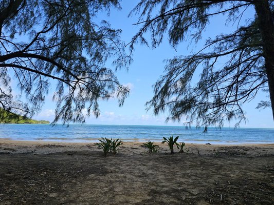 Kahana Bay Beach Park by null