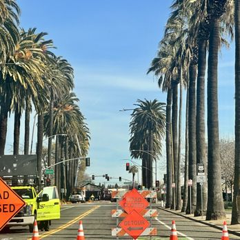 Sierra Tree Company - Tree Services Near Me - Rohnert Park, California Sierra Tree Company - Tree Services Near Me - Rohnert Park, California