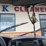 Photo of OK cleaners