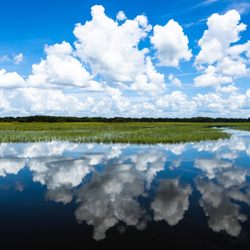 Wild Willy's Airboat Tours - Everglades