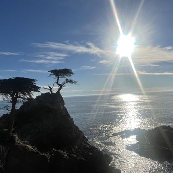 17-Mile Drive Scenic Tour - Local Flavor Near Me 17-Mile Drive Scenic Tour - Local Flavor Near Me