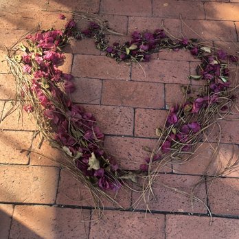 Pink Rose Cafe - Coffee & Tea Near Me - La Mesa, California Pink Rose Cafe - Coffee & Tea Near Me - La Mesa, California
