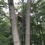 Photo of Terrapin Tree Care