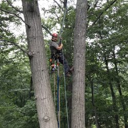 Terrapin Tree Care - Dave