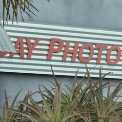 Bay Photo Lab - Company