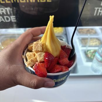 Pinkberry Valley Fair Mall - Ice Cream & Frozen Yogurt Near Me - Santa Clara, California Pinkberry Valley Fair Mall - Ice Cream & Frozen Yogurt Near Me - Santa Clara, California