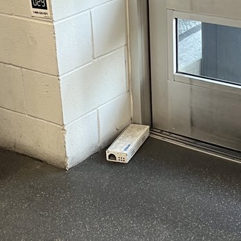Walmart Supercenter - 2023 June 10 - they have mice - Department Stores Near Me - Tampa, Florida