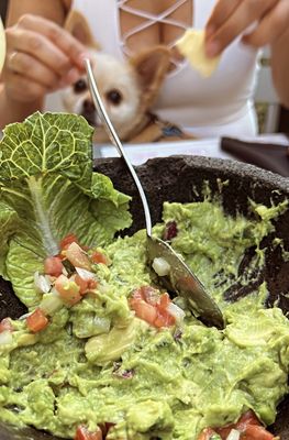 Urbano Tex-Mex Restaurant by null