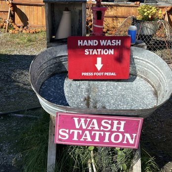 Tracy's King Crab Shack - Wash Station - Bars Near Me - Juneau, Alaska Tracy's King Crab Shack - Wash Station - Bars Near Me - Juneau, Alaska