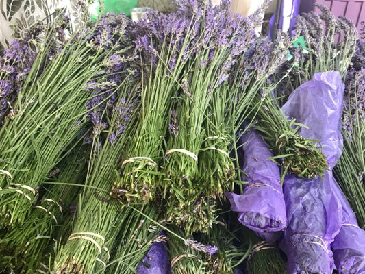 OJAI VALLEY LAVENDER FESTIVAL - 57 Photos & 16 Reviews UPDATED