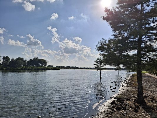 Shelby Farms Park by null