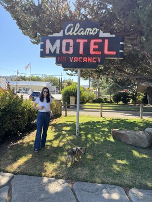 Alamo Motel by null