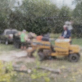 Deans Tree Service - Stump removal - Tree Services Near Me - Springfield, Ohio