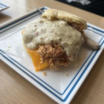 Biscuit Belly - Lexington - The Rockwell - Breakfast & Brunch Near Me - Lexington, Kentucky Biscuit Belly - Lexington - The Rockwell - Breakfast & Brunch Near Me - Lexington, Kentucky