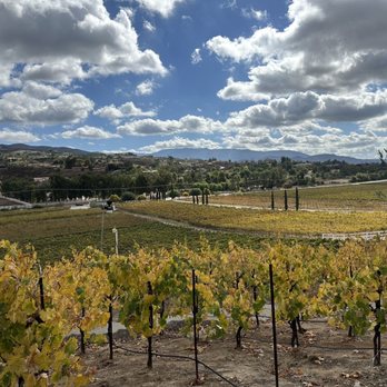 Cougar Vineyard & Winery - Love this view! - Wineries Near Me - Temecula, California