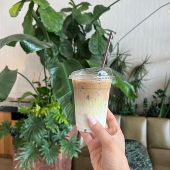 A-OK Cafe - A hand is holding a clear plastic cup filled with iced coffee, topped with a plastic lid and a straw, in a cafe setting. The background features large green indoor plants, a beige wall, and a seating area with a green marble table and a beige cushioned bench. The environment appears calm and modern, with natural elements and neutral tones. - Coffee & Tea Near Me - Vaughan, Ontario