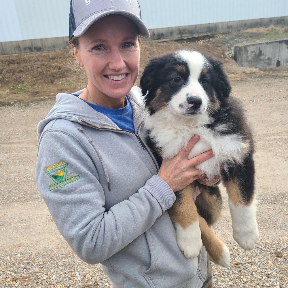 LOVE & WAGS PET TRANSPORTATION Updated September 2024 Lawton