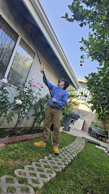 Experience Our Free Expert Pest Inspection - Our thorough inspection stage involves a comprehensive assessment of your premises, identifying potential pest issues at their source and laying the groundwork for tailored and effective pest control solutions. Experience Our Free Expert Pest Inspection - Our thorough inspection stage involves a comprehensive assessment of your premises, identifying potential pest issues at their source and laying the groundwork for tailored and effective pest control solutions.