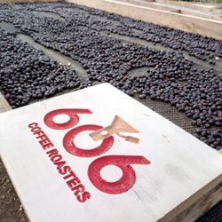 606 Coffee Roasters