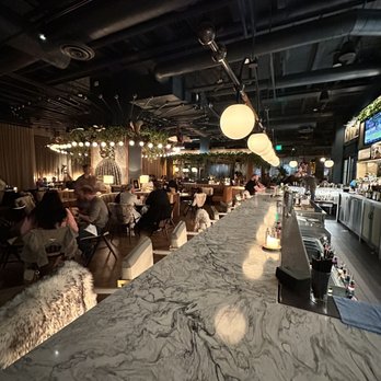 Wren & Wolf - bar area - Cocktail Bars Near Me - Phoenix, Arizona Wren & Wolf - bar area - Cocktail Bars Near Me - Phoenix, Arizona