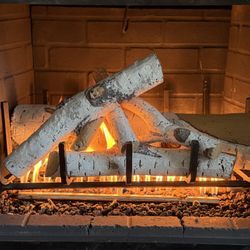 The Chimney Savers