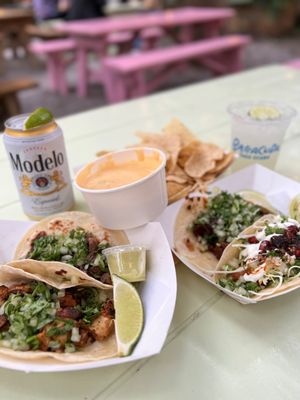 Barracuda Taco Stand by null