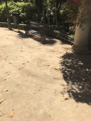 Parque de María Luisa by null