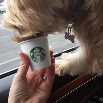 Starbucks - Coffee & Tea Near Me - Oceanside, California Starbucks - Coffee & Tea Near Me - Oceanside, California