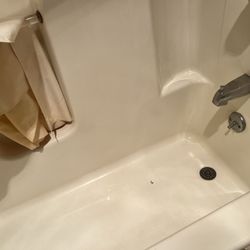 Quality Inn - Molded shower curtain and dirty tub