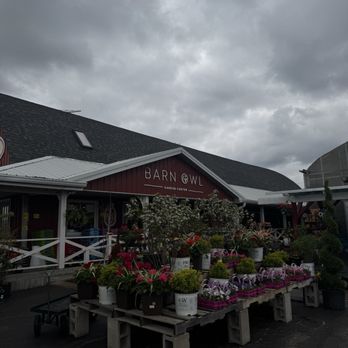 Barn Owl - Nurseries & Gardening Near Me - Carol Stream, Illinois