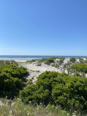 Cape May National Wildlife Refuge by null
