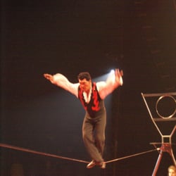 HighWire Dude.
