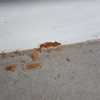 Stanley Martin Homes - Rotten compressed paper board - Home Developers Near Me - Reston, Virginia Stanley Martin Homes - Rotten compressed paper board - Home Developers Near Me - Reston, Virginia