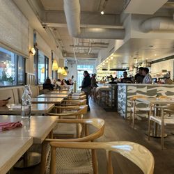 Cafe Gratitude - Dining room