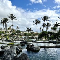Honu Cove Bar & Grill - Grounds of Hilton Point at Poipu