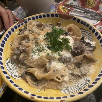 Cesarina - Pappadelle pasta with funghi sauce and burrata - Italian Near Me - San Diego, California Cesarina - Pappadelle pasta with funghi sauce and burrata - Italian Near Me - San Diego, California