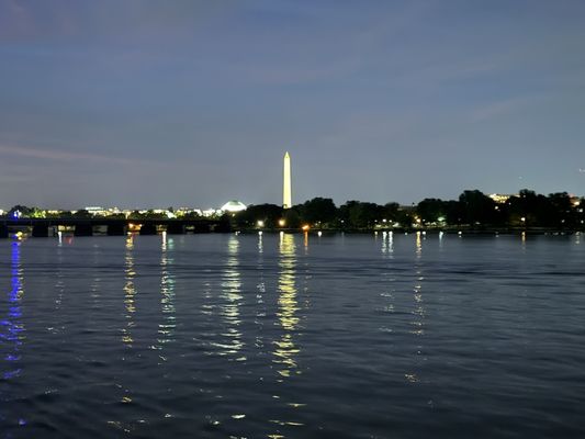 City Cruises by null