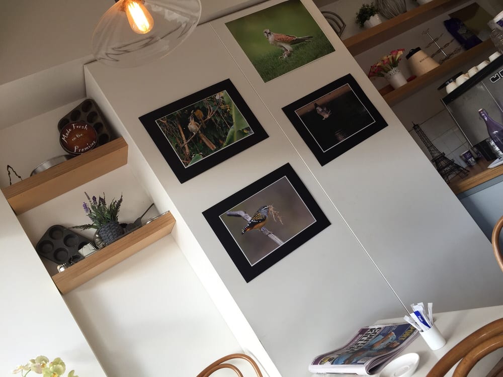 HARLEQUINS CAKES Updated August 2024 336 Sydney Rd, Balgowlah New