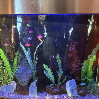 Six Seven Restaurant - New American Near Me - Seattle, Washington Six Seven Restaurant - New American Near Me - Seattle, Washington