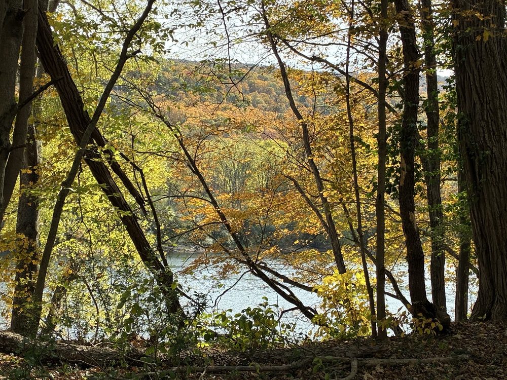 Delaware Water Gap National Recreation Area Logo