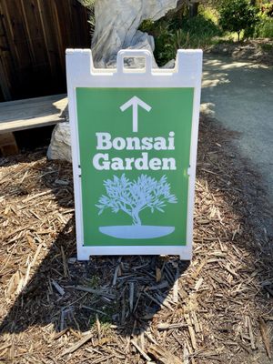Bonsai Garden by null