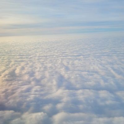 Southwest Airlines by null