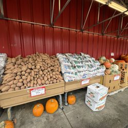Game's Farmers Market - Seasonal vegetables