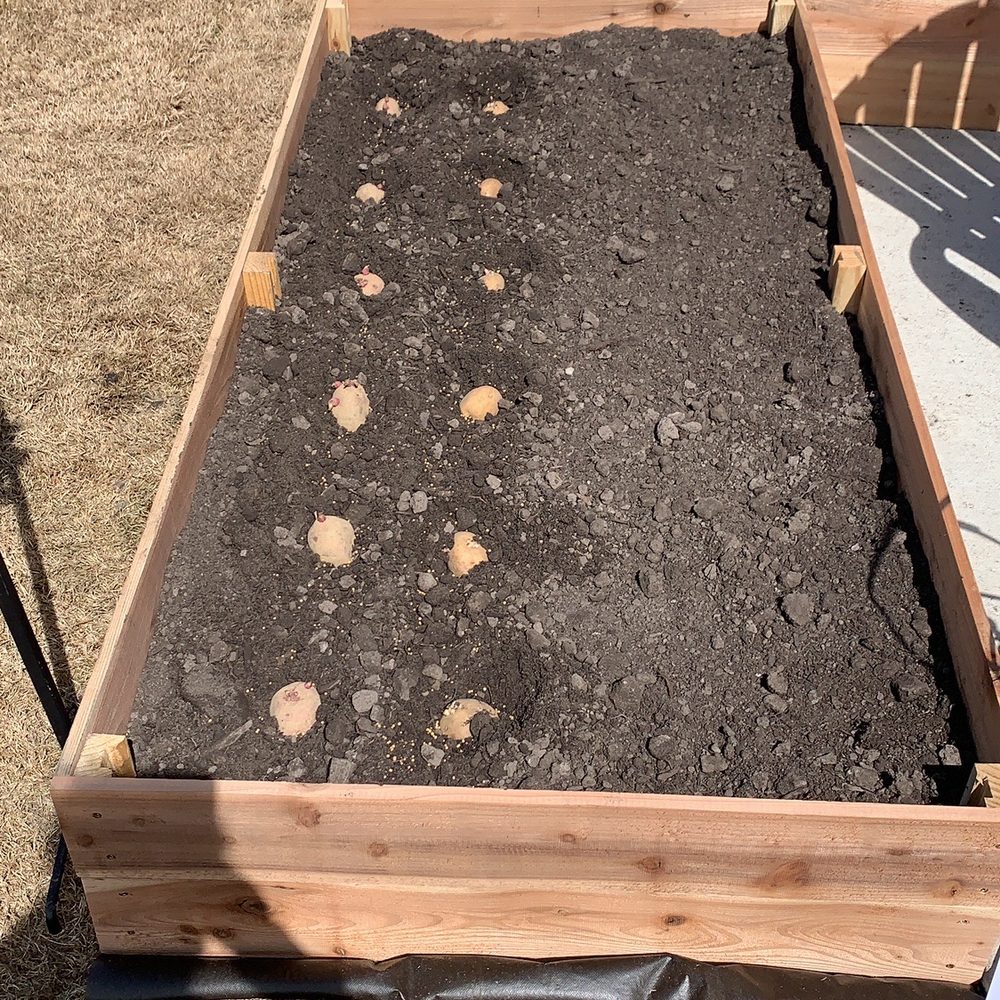 The Difference Between Topsoil, Compost Potting Mix