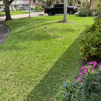 Green Life - After: Front walk left side - Pest Control Near Me Green Life - After: Front walk left side - Pest Control Near Me