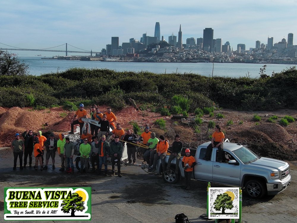 BUENA VISTA TREE SERVICE Updated October 2024 44 Photos & 143