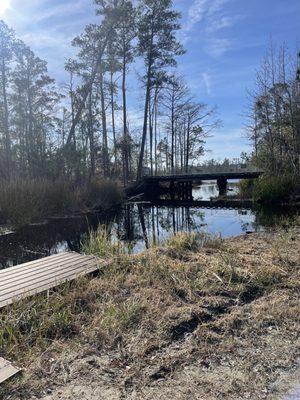 Alligator River National Wildlife Refuge by null