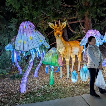 Dragon Lights Reno - Local Flavor Near Me - Reno, Nevada