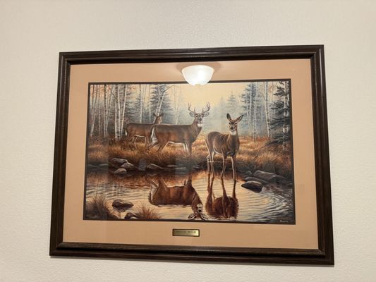 Grizzly Cafe by null