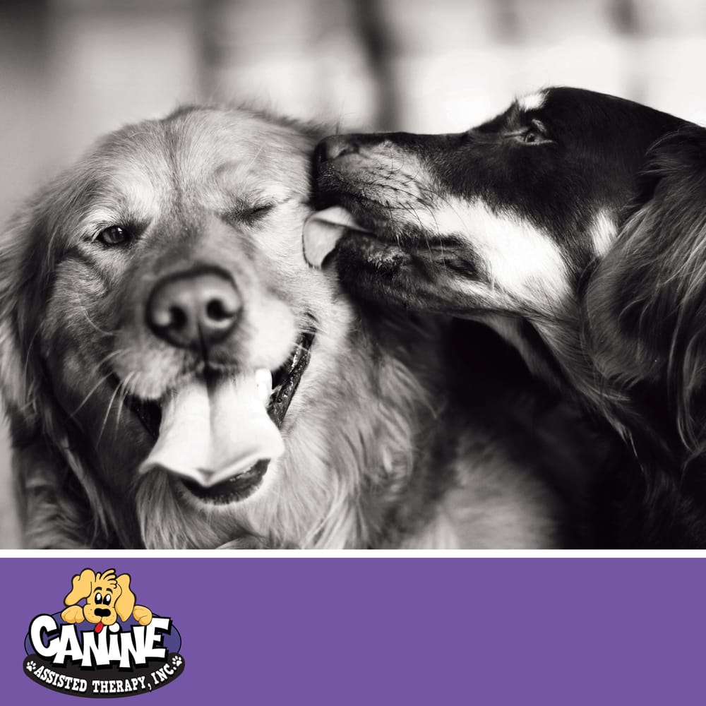 Canine Assisted Therapy - social services organization in Oakland Park, FL